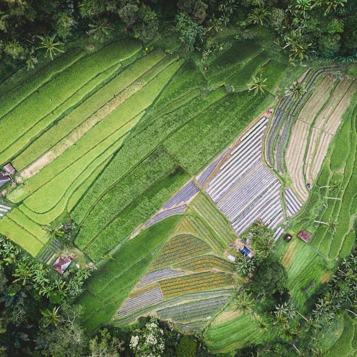 Family terraces and cafés for calm evenings in Rotterdam